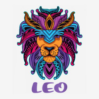 Leo Lion Zodiac Symbol Horoscope Astrology Birthday Gift T Shirt Toddler Hoodie | Artistshot