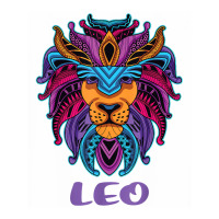 Leo Lion Zodiac Symbol Horoscope Astrology Birthday Gift T Shirt Youth Tee | Artistshot