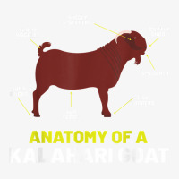 Goat Lovers Apparel Pet Meme Animal Pun Funny Kalahari Goat Ladies Fitted T-shirt | Artistshot