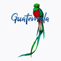 Guatemala Quetzal T Shirt T-shirt | Artistshot