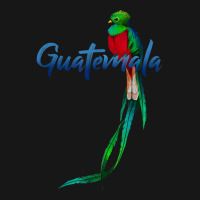 Guatemala Quetzal T Shirt Medium-length Apron | Artistshot