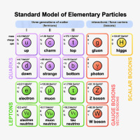 Particles Standard Model Higgs Boson Physics Teacher Student T Shirt Ladies Fitted T-shirt | Artistshot