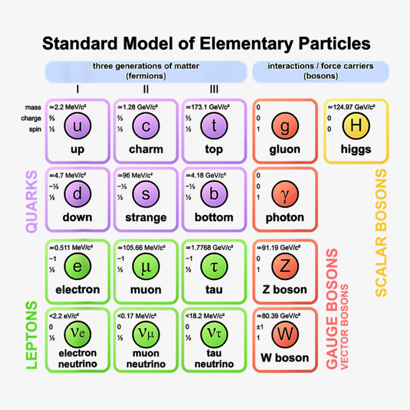 Particles Standard Model Higgs Boson Physics Teacher Student T Shirt Ladies Fitted T-Shirt by shoaibmolleda | Artistshot