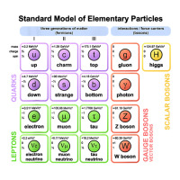 Particles Standard Model Higgs Boson Physics Teacher Student T Shirt Maternity Scoop Neck T-shirt | Artistshot