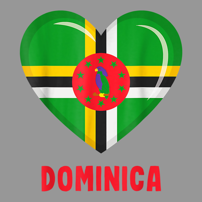 Dominica Flag Shirt Dominican T Shirt Women's V-Neck T-Shirt by agueron | Artistshot