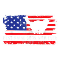 American Flag Maine Coon Cat Lover Proud Pet Owner Cat Mom Unisex Hoodie | Artistshot