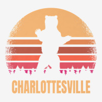 Charlottesville Virginia Vintage Bear Va Distressed Retro Premium Shield Patch | Artistshot