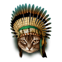 Chief Cat Zipper Hoodie | Artistshot