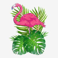 Tropical Animal Lover Exotic Bird Lover Pink Flamingo T Shirt Baby Beanies | Artistshot