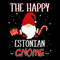 Womens Estonian Christmas Gnome Costume Matching Family V Neck T Shirt V-neck Tee | Artistshot