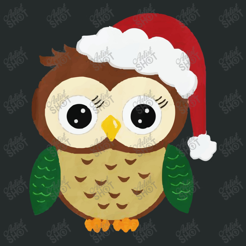 Adorable Christmas Owl Women's Triblend Scoop T-shirt by Vishaka | Artistshot