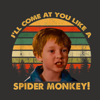 I'll Come At You Like A Spider Monkey Vintage T Shirt Champion Hoodie | Artistshot