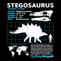 Stegosaurus Fact Sheet Dinosaur Facts T Shirt Toddler Sweatshirt | Artistshot