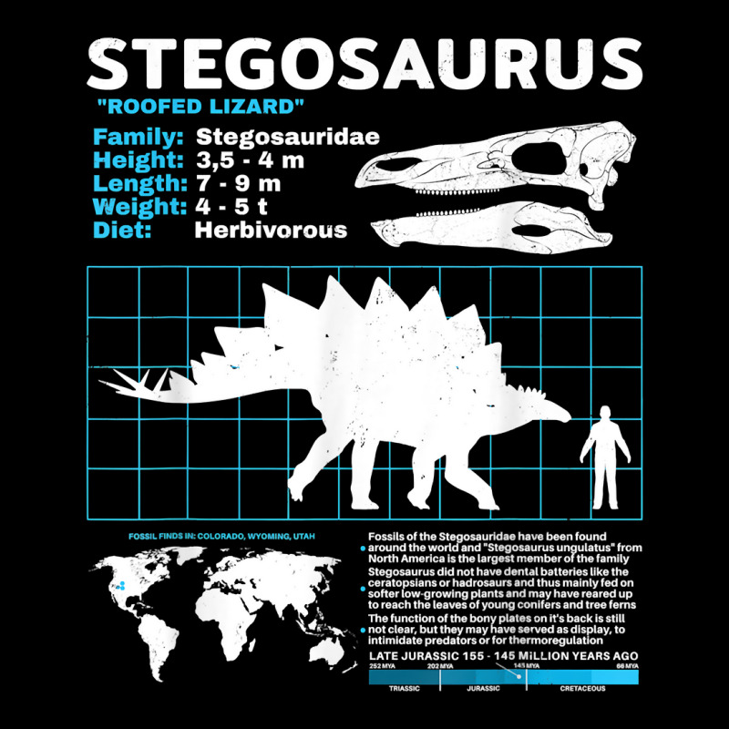 Stegosaurus Fact Sheet Dinosaur Facts T Shirt Toddler Sweatshirt | Artistshot