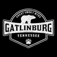 Gatlinburg Tennessee Great Smoky Mountains Black Bear T Shirt Lightweight Hoodie | Artistshot