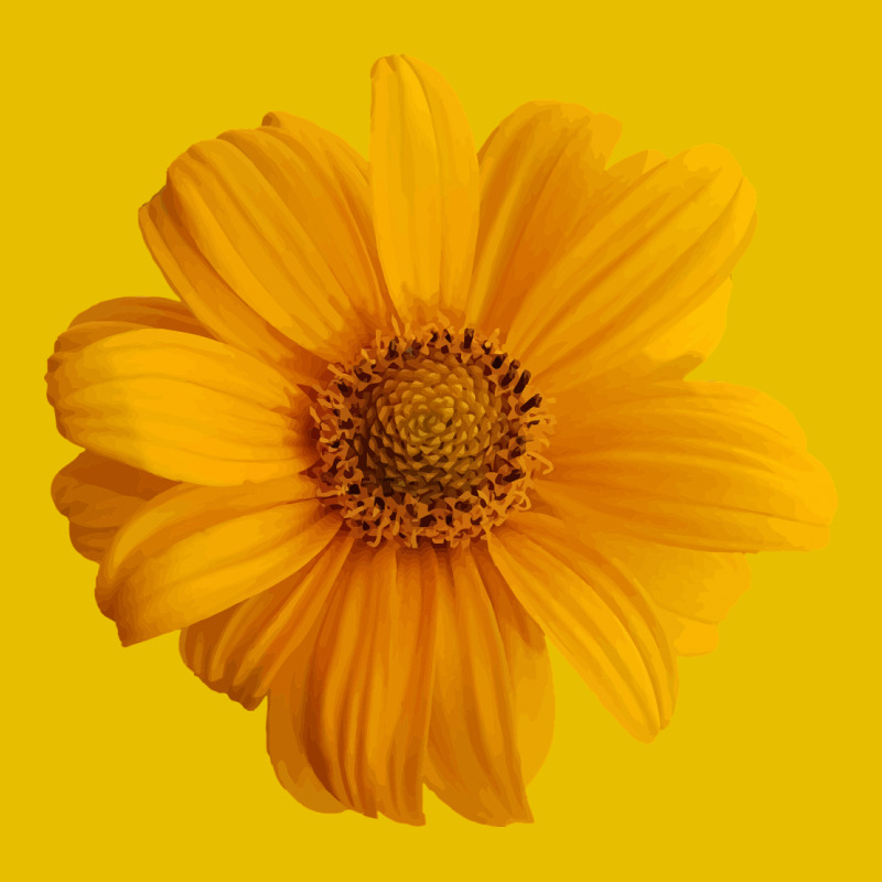 License Plates Yellow flower license plate Electronics & Accessories