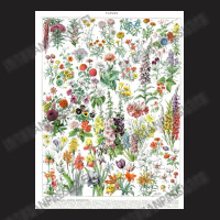 Flower Market Vintage Annual  Print Botanical T-shirt | Artistshot