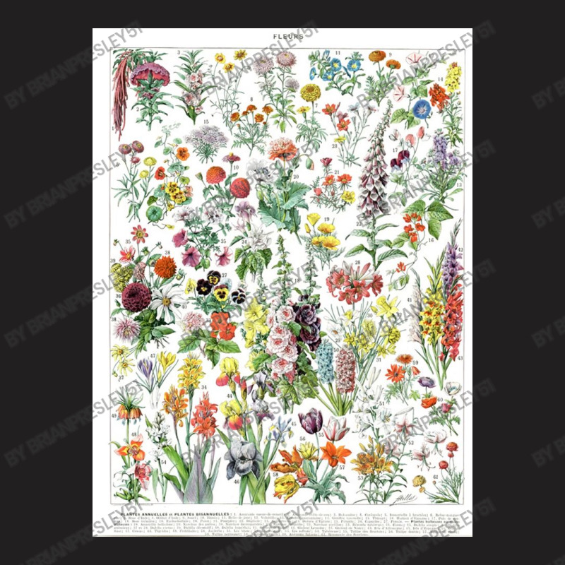 Flower Market Vintage Annual  Print Botanical T-Shirt by brianpresley51 | Artistshot