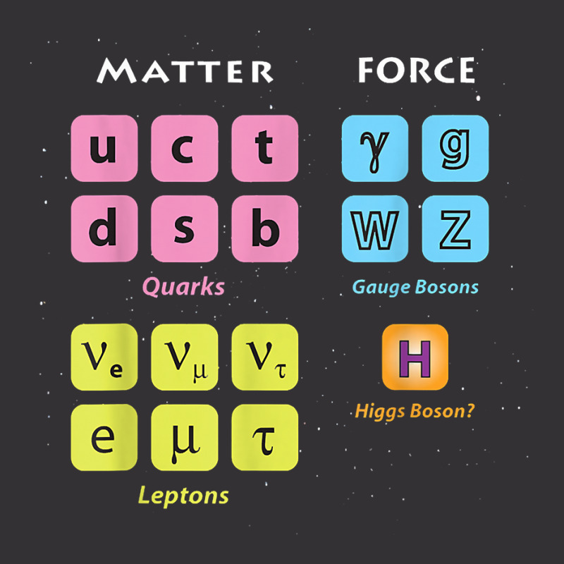 Elementary Particles Standard Model Higgs Boson Lhc Physics T Shirt Vintage Hoodie And Short Set by rillanerby | Artistshot