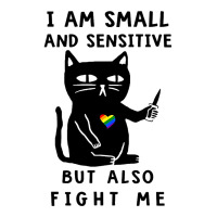 Black Cat Kitty I Am Small And Sensitive But Also Fight Me 419 Black K Long Sleeve Shirts | Artistshot