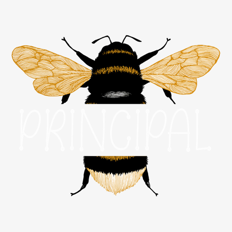 Principal Bee Shirt, Teacher Bee School Sweatshirt Ladies Fitted T-Shirt by AbidahToenges | Artistshot