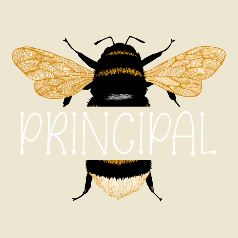 Principal Bee Shirt, Teacher Bee School Sweatshirt Cropped Hoodie by AbidahToenges | Artistshot