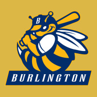 Burlington Bees 00004d Classic T-shirt | Artistshot