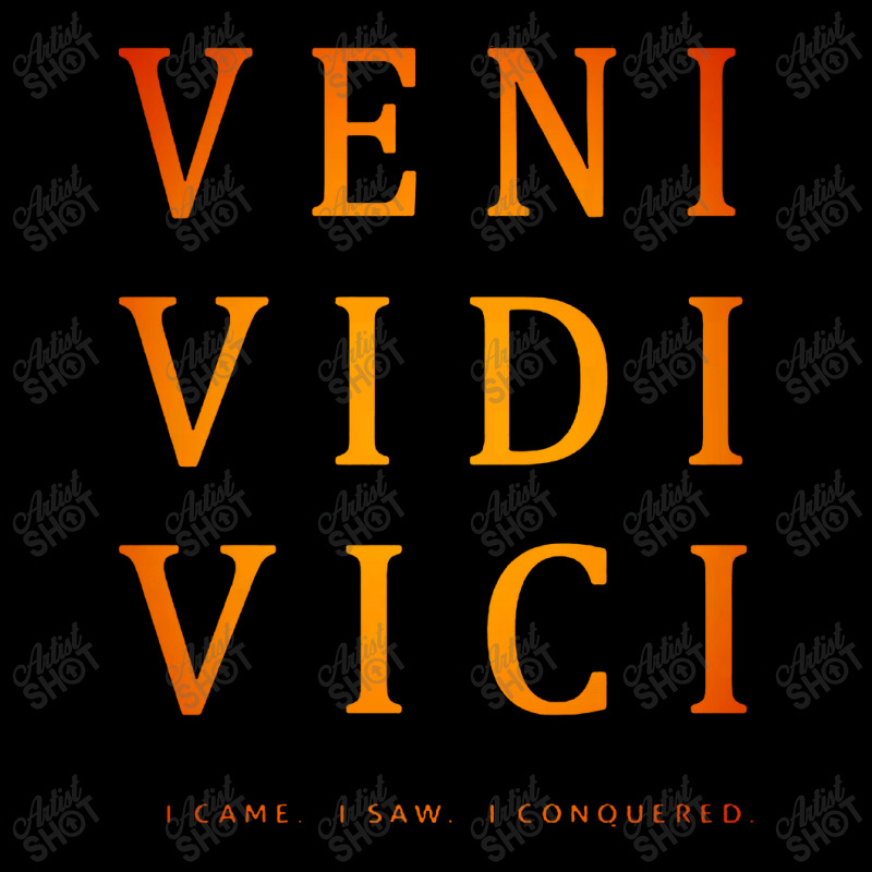 Veni Vidi Vici Baseball Hat – Herobuilt