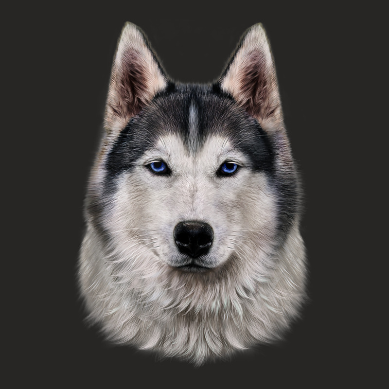 Siberian Husky Dog Face Ladies Fitted T-Shirt by Hoang95 | Artistshot