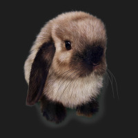 Siamese Holland Lop Bunny Rabbit Classic T-shirt | Artistshot