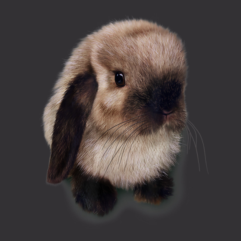 Siamese Holland Lop Bunny Rabbit Vintage Short | Artistshot