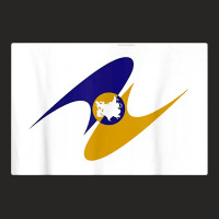 Eurasian Economic Community Eurasec Flag T Shirt Ladies Fitted T-shirt | Artistshot