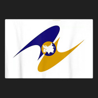 Eurasian Economic Community Eurasec Flag T Shirt Ladies Polo Shirt | Artistshot