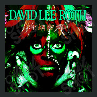 David Lee Roth Cover1 Women's Triblend Scoop T-shirt | Artistshot