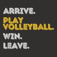 Arrive. Play Volleyball. Win. Leave.   Fun Volleyball Player T Shirt Champion Hoodie | Artistshot