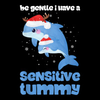 Be Gentle I Have A Sensitive Tummy Funny Christmas T Shirt Lightweight Hoodie | Artistshot