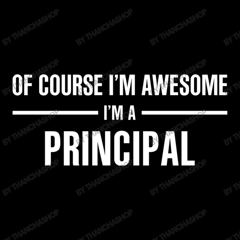 I'm Awesome I'm A Principal Baby Tee by thanchashop | Artistshot