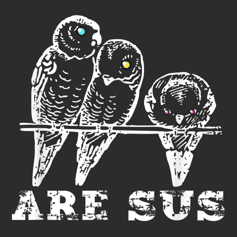 Budgies Are Sus Liars Aren't Real Fake Birds Spies T Shirt Exclusive T ...