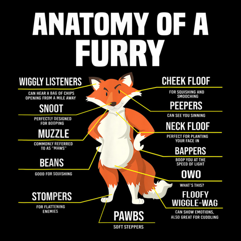 Anatomy Of A Furry Fandom Furries Cute Sweet Funny Owo Fox T Shirt 