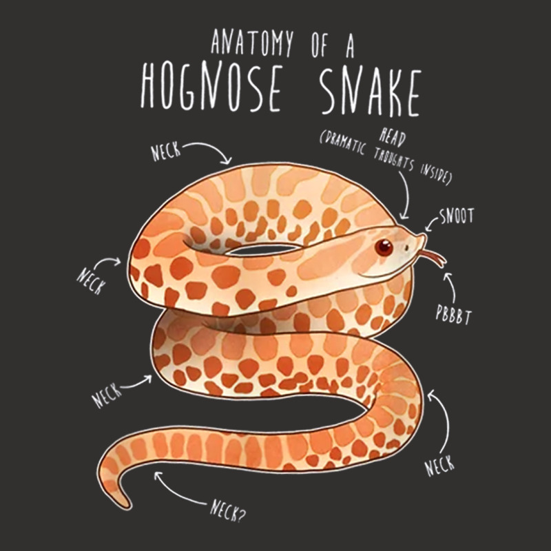 Anatomy Of A Albino Hognose Snake T Shirt Champion Hoodie by PET LOVE | Artistshot