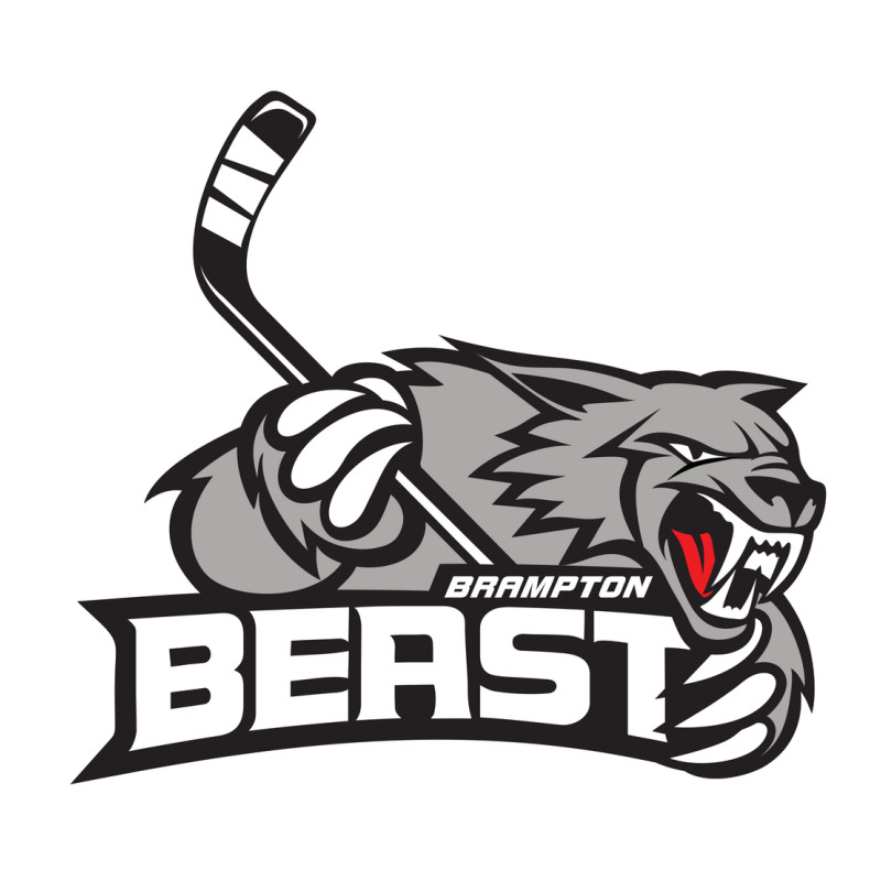 Brampton Beast Youth Sweatshirt by TIAMIS | Artistshot