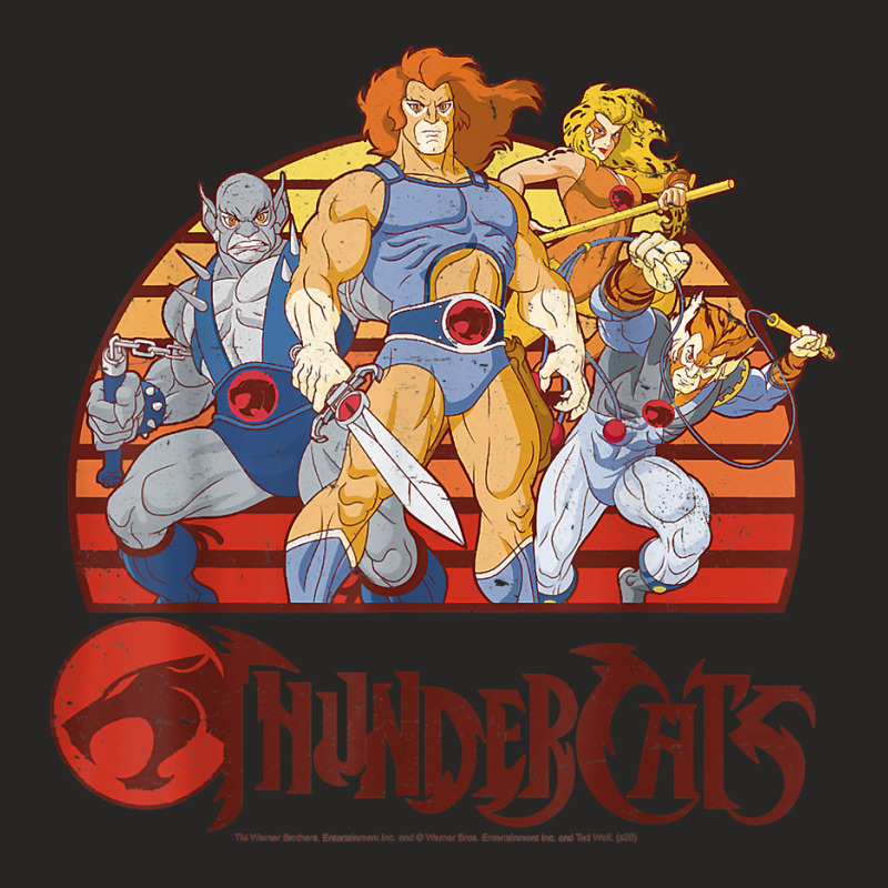 Thundercats Group Retro Sunset T Shirt Ladies Fitted T-Shirt by diles | Artistshot