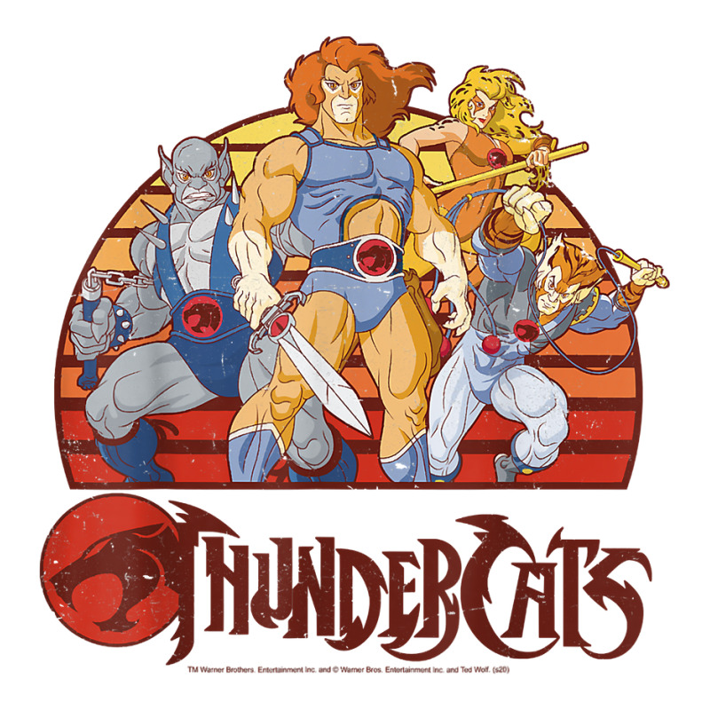 Thundercats Group Retro Sunset T Shirt Crop Top by diles | Artistshot