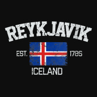 Womens Vintage Reykjavik Iceland Souvenir Gift V Neck T Shirt Crop Top | Artistshot