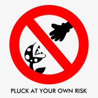 Pluck At Your Own Risk Ladies Fitted T-shirt | Artistshot