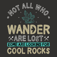 Some Are Looking For Cool Rocks   Geologist Geode Hunter T Shirt Champion Hoodie | Artistshot