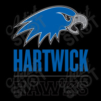 Hartwick Athletic Lightweight Hoodie | Artistshot