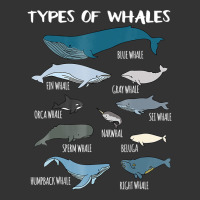 Types Of Whales Cute Ocean Mammals Guide T Shirt Exclusive T-shirt By ...