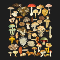 Mushroom Shirt Mycology Fungi Foraging Mushroom Whisperer T Shirt Classic T-shirt | Artistshot