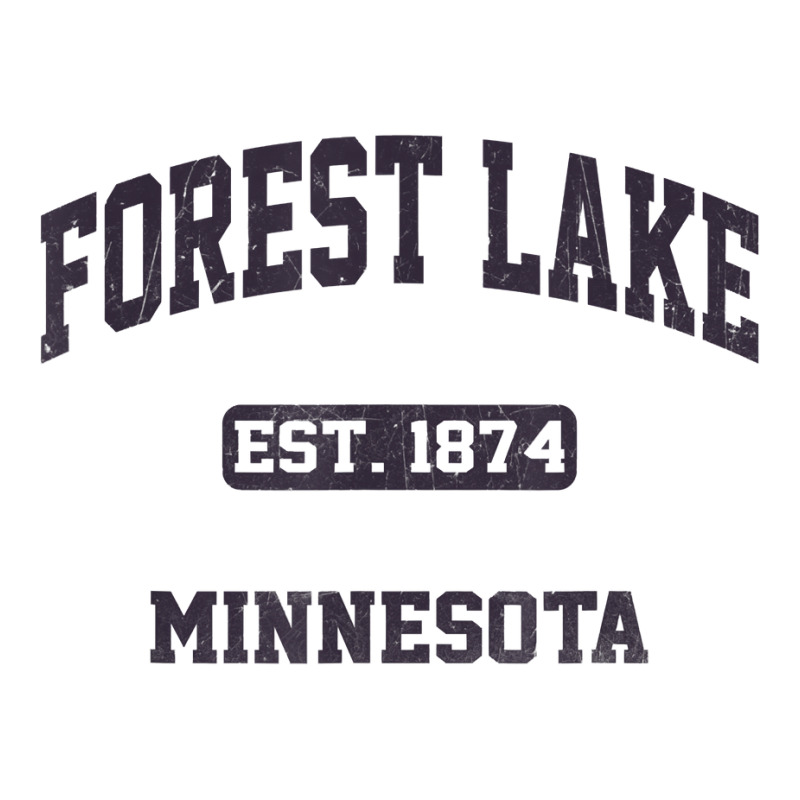 Forest Lake Minnesota Mn Vintage State Athletic Style T Shirt Youth Hoodie by bendlelobeltzoer | Artistshot